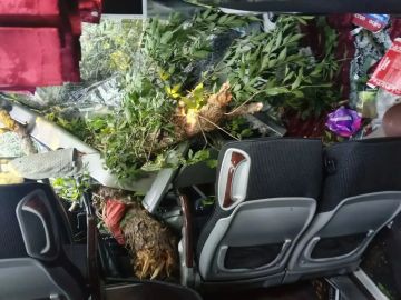 Семеро пострадавших: стали известны обстоятельства ДТП с автобусом Москва – Донецк в ЛНР