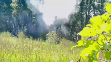 ������ �������: ������������� �����������. ������ ��� �����-ѻ 385-� �������������� ������� ����������� ������ ������ ������� ����������