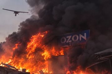 ��� ����� ������� �� ������ Ozon � ��������� �������