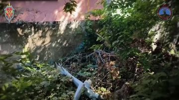 ������ �������� � ��������: �� ������ ��� ����������� ��� ����� 88 ���������� �������������