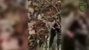 ���� ����� ����� ��������� ������ ��������� ��������