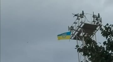 Хохлы попытались забросить свой флаг в Курскую область, но дрон символично напоролся на столб