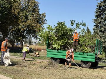 Денис Зубов: 24 августа по поручению главы городского округа Иловайск Александра Кузнецова сотрудники МБУ БИОН выполняют работы по уборке сухих, аварийных деревьев, а также уборке территории на привокзальнй площади
