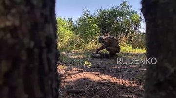 Андрей Руденко: Расчёт ударных FPV-дронов 61-й бригады морской пехоты группировки войск «Центр» уничтожил боевиков ВСУ, которые пытались скрытно продвинуться к позициям подразделений группировки на Добропольском направлении