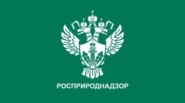 Представление отчетности и уплаты экологического сбора в рамках расширенной ответственности производителей и импортеров