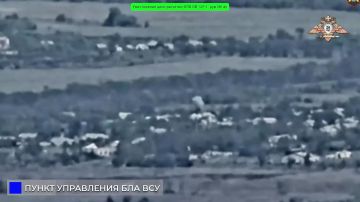 Уничтожение ПУ БЛА противника в районах н.п. Горняк и Новогригоровка