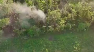 Появились кадры боев за Кучеров Яр в ДНР