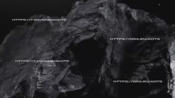 Александр Коц: Засади врагу в «Лелеку». Дроноводы-истребители вашего любимого подразделения спецназа «Вега» радуют очередной подборкой кадров объективного контроля с добропольского направления