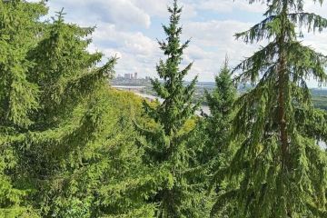 В ДНР восстановили более 1,2 тыс