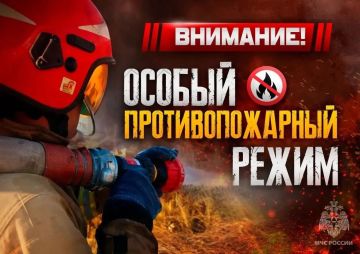 Иван Адамец: Особый противопожарный режим: огонь под запретом