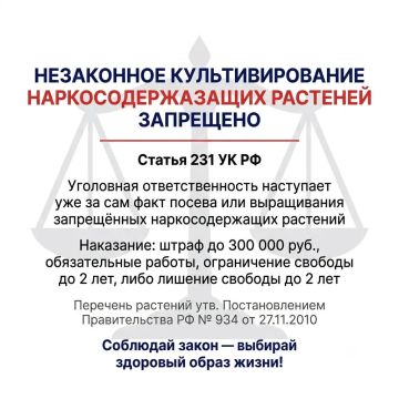 О недопустимости культивирования наркосодержащих растений