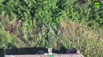 В Дружковке и Кондратовке (ДНР) точными ударами уничтожены сразу три пункта управления дронами ВСУ