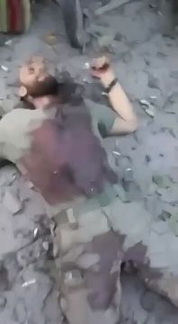 ������ �������: ���������: ���������� ��� ����� �� 12 ���������� � ��������� �� ���������� ����