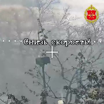 ���������� ������: ������� ����������: ��������� ������� ������� ���� ������-�������������� ���