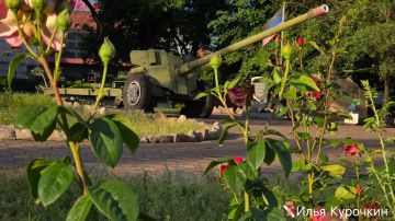 ����� ��������: ������ ����, ��������!. #�������� #������������������ #���������������