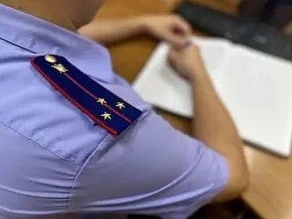 В Донецке вынесен приговор по уголовному делу о применении насилия в отношении представителя власти