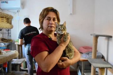 Доставят в любой город страны: Желающие могут взять из «Кошкиного дома» в Донецке спасенное в Донбассе животное