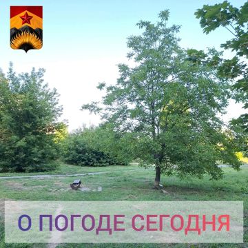Александр Шатов: Гидрометцентр сообщил о погоде в Шахтерском округе