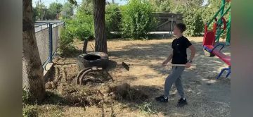 � ���������� ������ ������ ���������� ��������� � ������ ������� ������ ������ ����