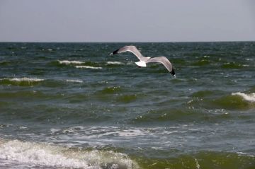27 ������� � ���������� ������� � ������������, ������� ��������� �����