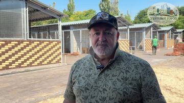 В Мариуполе спасли запертую в коллекторе маму-собаку с щенками