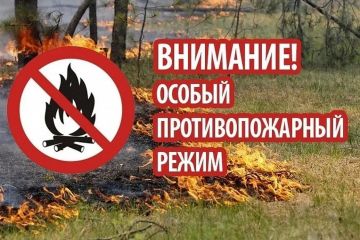 Согласно постановлению Правительства ДНР № 37-9 от 07.05.2026, в период с 1 июня по 1 октября 2026 года на территории республики действует особый противопожарный режим