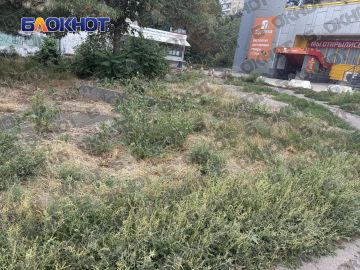 �������� �� ����: ������ ������ ������� �������� �� ������� �������� �������