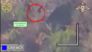 Кубанские артиллеристы уничтожили 2С1 «Гвоздика» ВСУ под Новотроицким