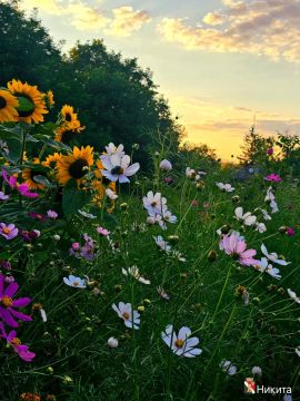 ����� ��������: ������ ����!. #�������� #������������������ #���������������
