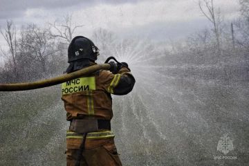 #МЧСДНР_СВОД за сутки. Ликвидировано 14 пожаров, из них 2 — ландшафтные