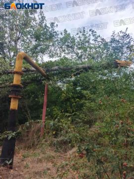 Аварийное дерево рухнуло на газовую трубу у дома 3 по Синцова в Кировском районе Донецка