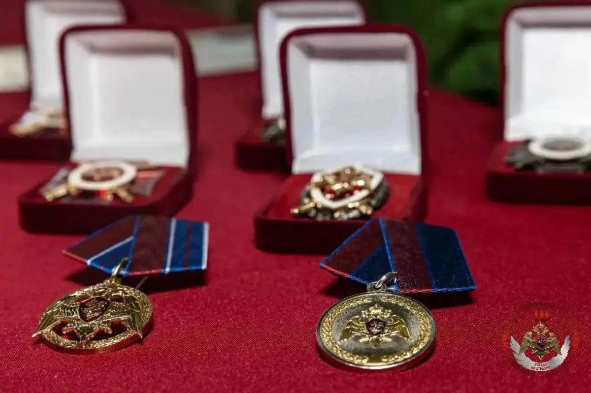 В ДНР командующий группировкой войск национальной гвардии вручил награды отличившимся участникам СВО