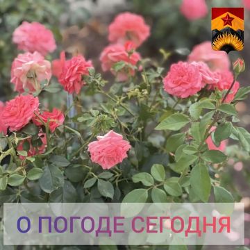 Александр Шатов: Гидрометцентр сообщил о погоде в Шахтерском округе