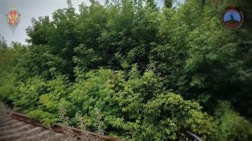 �������� �� �/� ���� � �������������: ��� �������� ��� �� ������ ����������� 57 ��������� ������