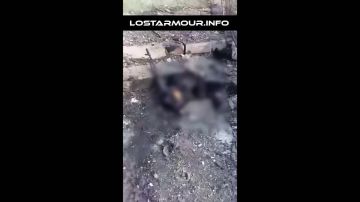 ������ ���������. �������� ������ � ���� �� �������������� ����� ����� �. ������ ����� � �. ���������