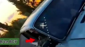 ������� ���������: ������� ������� ���� ����� ����������� ������ ������ ����������� ����� ������� ���� ���������� ������� ��������� � ���������� ������� ������������� ������