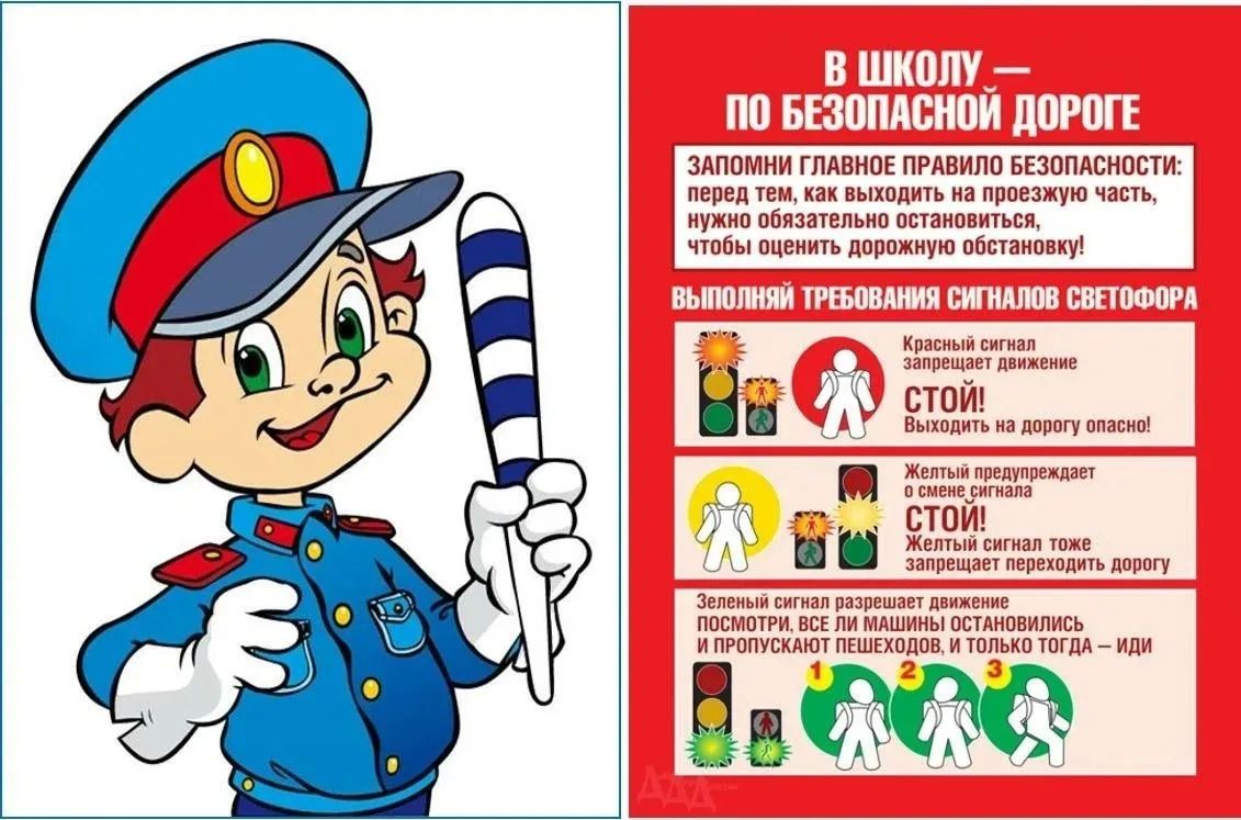 Памятка по профилактике детского дорожно-транспортного травматизма