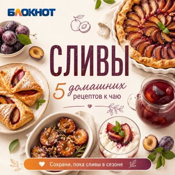 Сливы в сезоне — самое время печь пироги и ставить чай