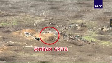 ВС РФ уничтожили три укрытия с пехотой, наземный робот и автомобиль ВСУ в ДНР, сообщили в МО РФ
