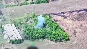 ������ ��������: #���������. ������ ������ ������������� 114-� ������� 51-� ����� ����������� ����� ������ ��� ������������ ���� ������� � ���