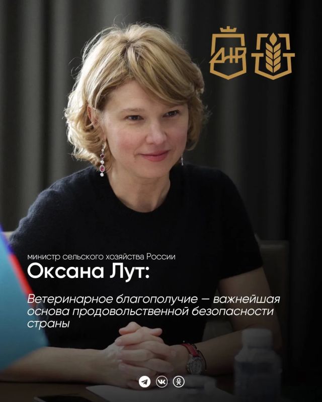 Оксана Лут поздравила ветеринарных работников с профессиональным праздником
