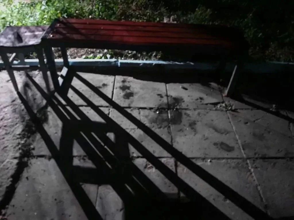 Полицейские задержали жителя Харцызска за причинение вреда здоровью