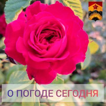 ��������� �����: ������������� ������� � ������ � ���������� ������