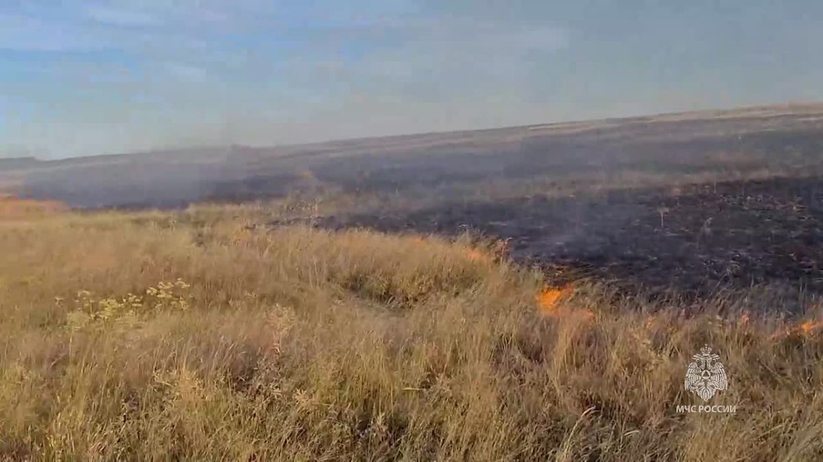 Шахтерские пожарные предотвратили переход огня на жилые дома