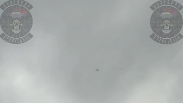 За 31.08.2026г. расчетами FPV ПВО отряда БпЛА и батальона ПБС бригады Барс-Белгород сбито - 38 БпЛА, в том числе: