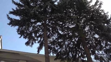 ����-������� �� ����� ��������� ��������� � ������������� ��� ������� ��������� �������� �������� ��������������� ����� �5 ����� �.�. �����. � ���� ������ ��� ������� �������� �������� �������� � ����������, ���������������...