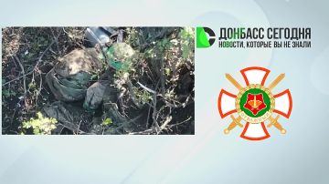 Группировка «Центр» наступает под Добропольем и давит на ВСУ у Новопавловки