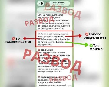 ������ � ����: ��������� � Telegram ������� ������ �����������, ������� ����������� ������� � ���������