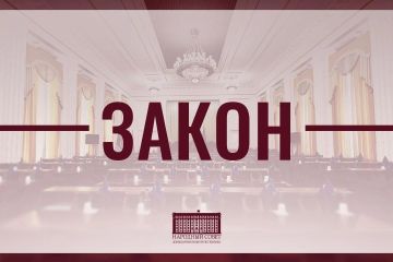 Синхронизация законов ДНР и федерального законодательства продолжается