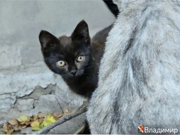 ����� ��������: � ����� ����!. #�������� #������������������